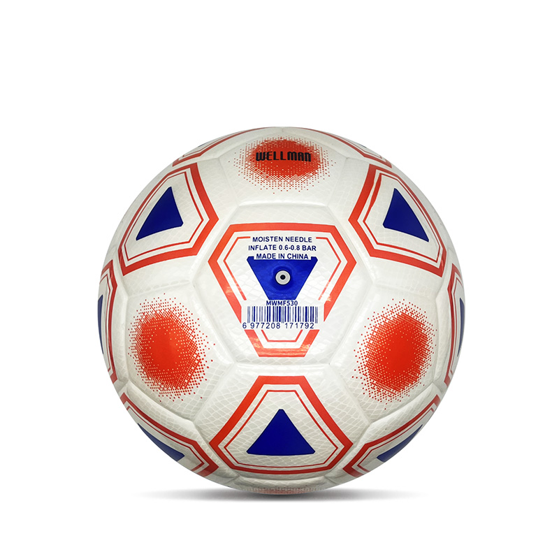 Duplex speculum consuetudinem typis Foodballs Personalized Morbi pila officialis magnitudine V